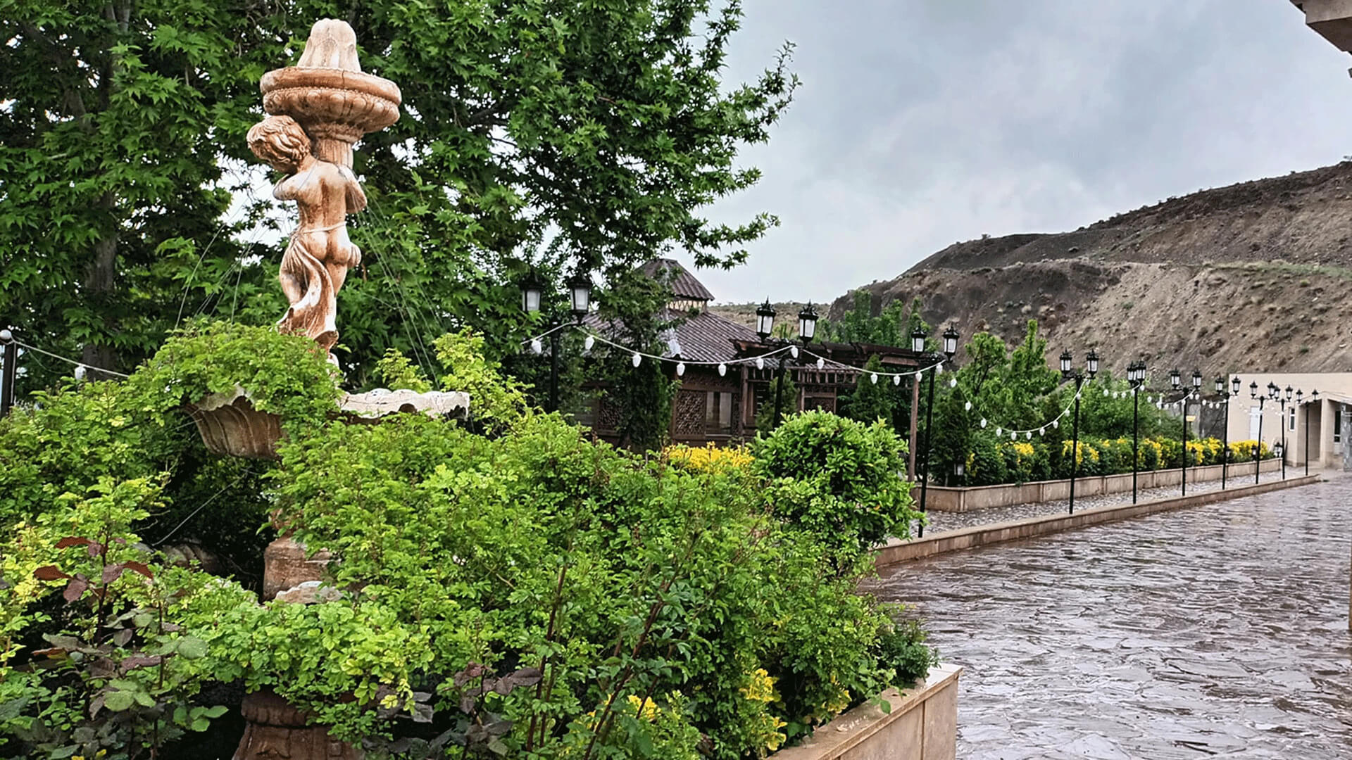 همراهی تا تحقق رؤیاها