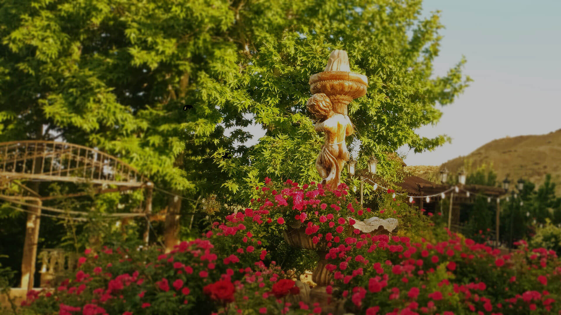 خلق خاطراتی ماندگار