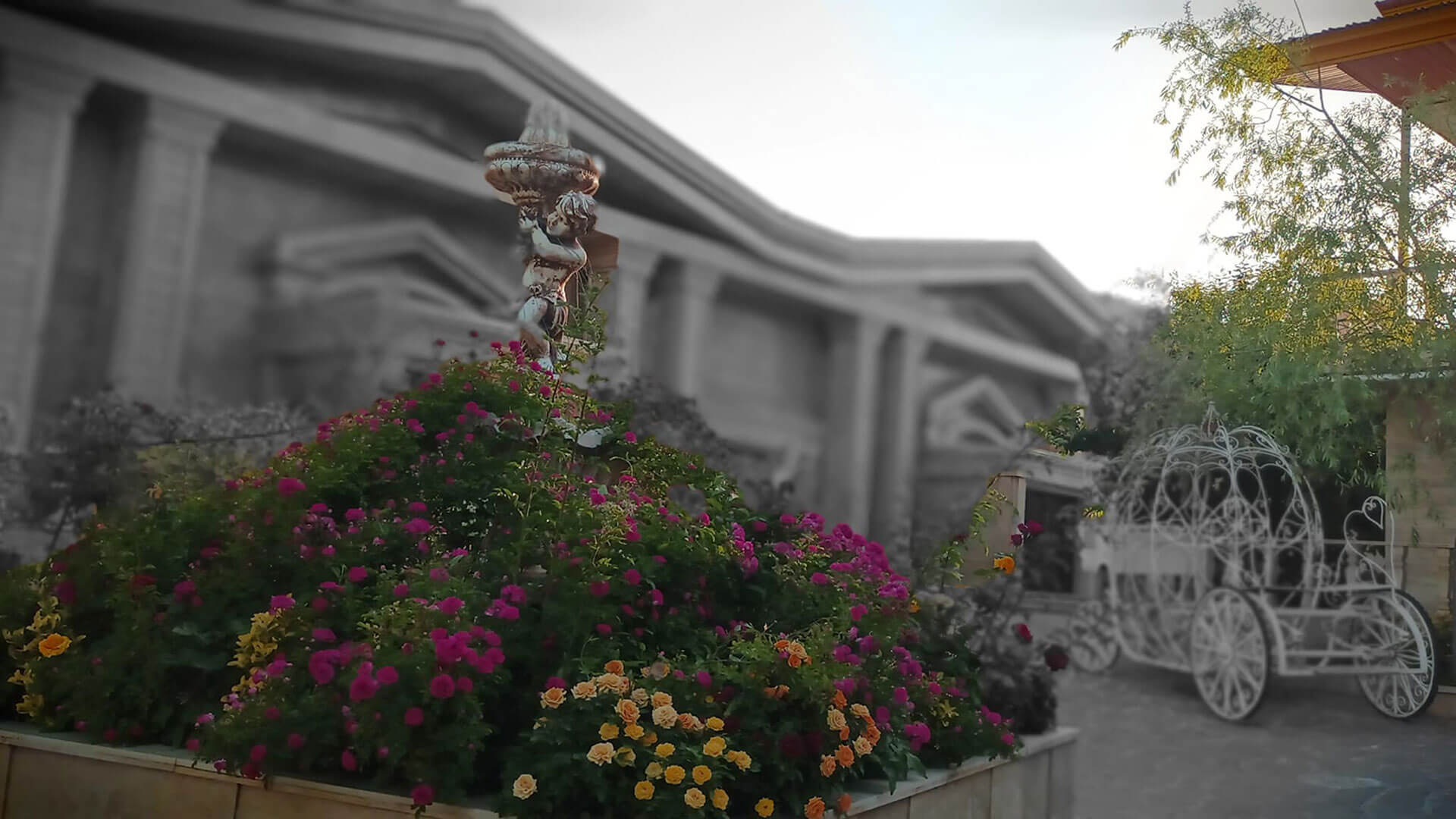 افتخار ما، لبخند شماست